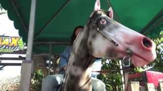 'I Will Ride a Horse' - A Grave With No Name