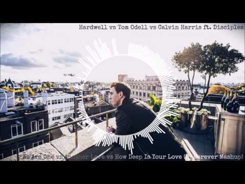 Hardwell vs Tom Odell - We Are One vs Another Love (Dj Esrever Mashup)