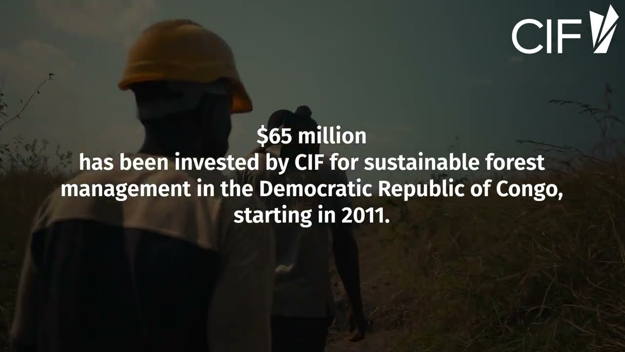 #CIFdelivers Sustainable Forests in the DRC