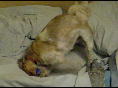 Bailey digging to China