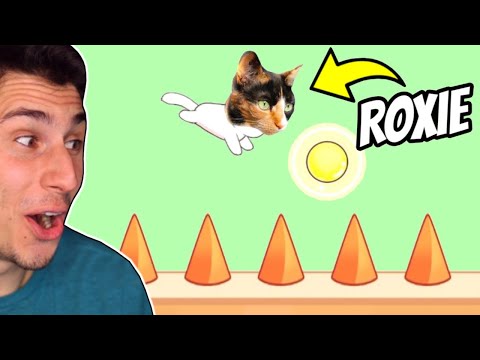My Cat Roxie Is IN GEOMETRY DASH!