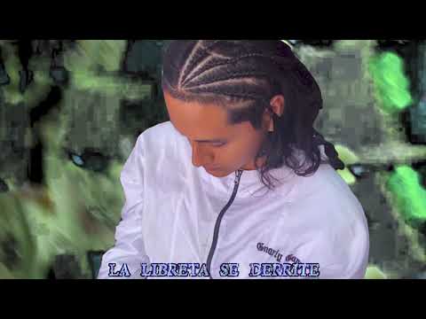 RUNNIN UP A CHECK - FLAKO DOGG X MONEYNKUSH (VISUALIZER)