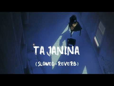 Ta Janina (তা জানিনা) [Slowed+Reverb] | Tanveer Evan X Barney Sku | Lofi Ussash