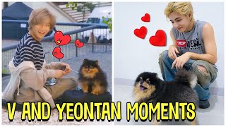 BTS V And His Dog Yeontan Cute Moments (Feat Rocky