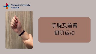 Active Range of Motion Exercises for the Wrist (Chinese)
