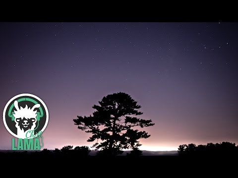 download lagu mp3 mp4 Ab Ovo Whole, download mp3 Ab Ovo Whole free downloadn, video klip Ab Ovo Whole