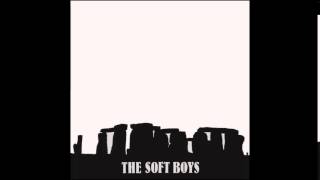 Soft Boys - Only The Stones Remain
