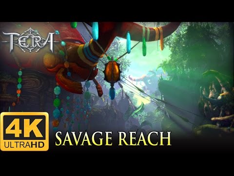 Tera Online [Savage Reach] 4k Footage Max Settings