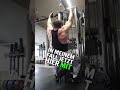 Latziehen für den OBEREN RÜCKEN #shorts #backday #muskelaufbau #bodybuilding