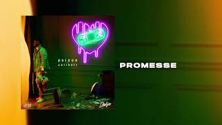 Promesse Music Video