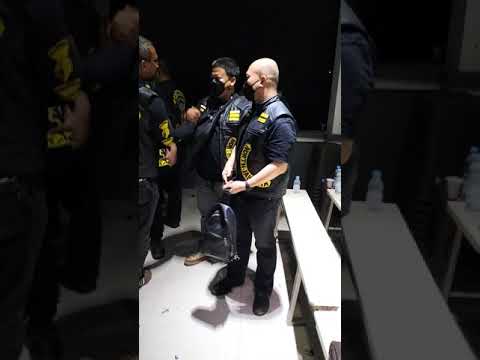 Black & Yellow Nation