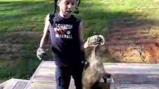 Boy catches dead possum