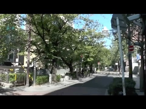 仏教学科 京都 木屋町・河原町 ぶらり散歩（2）