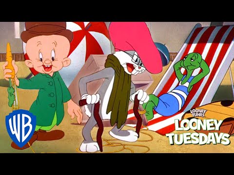 Looney Tunes | Your Fix of Sunshine and Madness | Looney Tunes | WB Kids