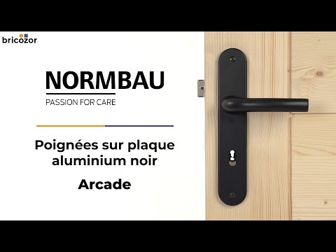 Poignées de porte doubles sur plaques - 195 mm - aluminium - noir - Arcade NORMBAU