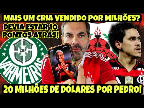 🚨 Pedro na mira do Catar: Mengão receberá proposta milionária de US$ 20 milhões!