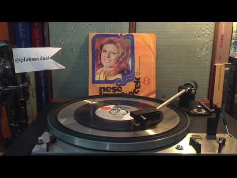 Neşe Karaböcek - Züleyha (Plak Kaydı)