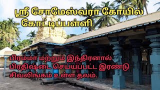 Temple video