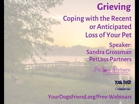 Grieving – coping with the recent or anticipated loss of your pet.  7-16-2022