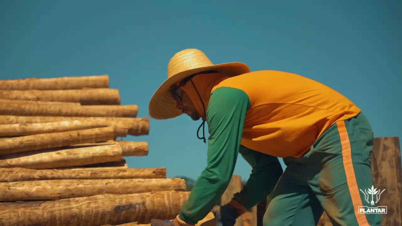 Plantar Institucional