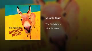 Miracle Mule -- The Subdudes