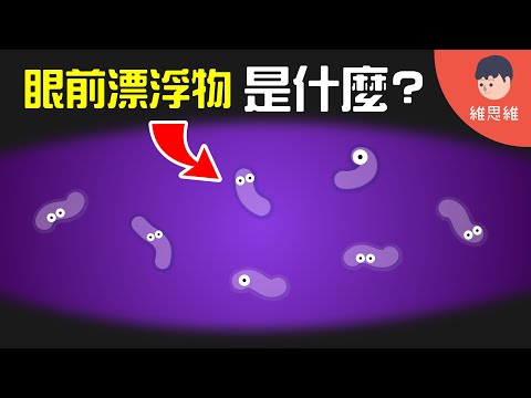 眼睛看東西有水波紋