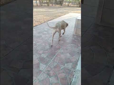 Sertão de Pernambuco Sítio Bento Leite Itaiba