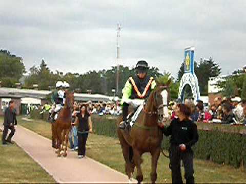 12.9.09 dostihy Pardubice