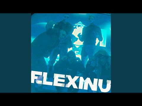 Flexinu