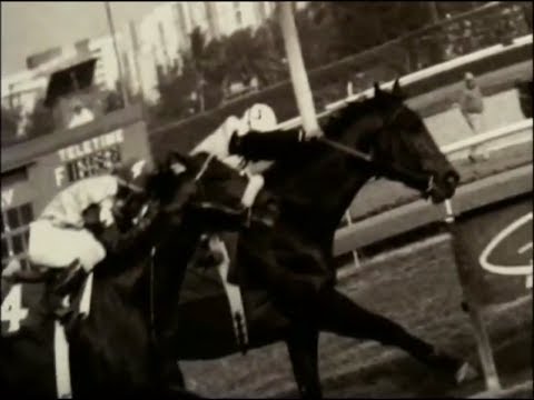 The History of the Donn Handicap