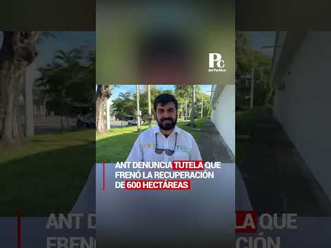 ANT denuncia tutela que frenó la recuperación de 600 hectáreas en Ansermanuevo