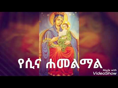 የሲና ሐመልማል