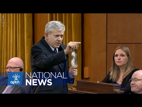 NDP critic for Indigenous youth asks prime minister to call off lawyers | APTN News