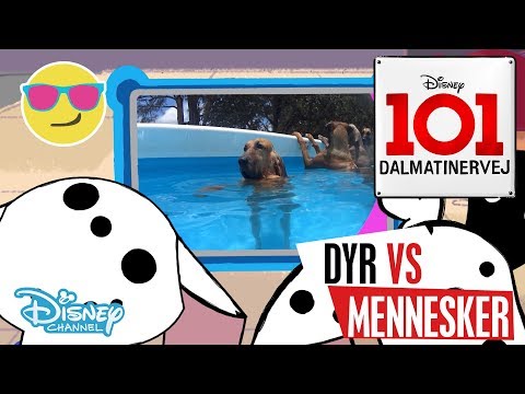 Dalmatinervej 101 | Dyr vs Mennesker: Ferie 🏖- Disney Channel Danmark