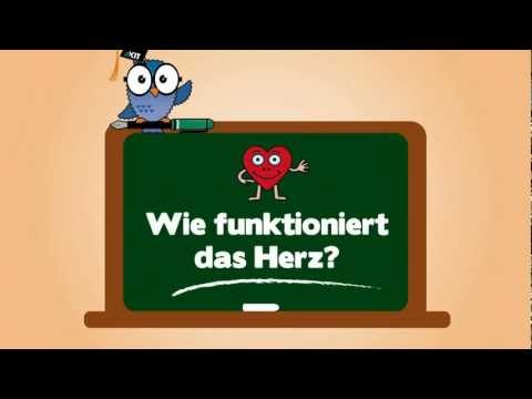 KIT for Kids: Wie funktioniert das Herz?