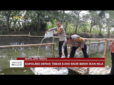 PRESISI UPDATE : POLRES DEMAK TEBAR 6 000 EKOR BENIH IKAN NILA 09/01/2025 16.00