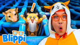 Blippi Races Through a Giant Hamster Maze Challenge! 🐹