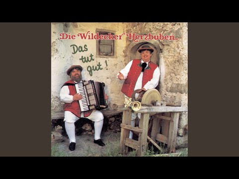 Hinter Jedem Abschied Und Nach Jeder Träne - Wildecker Herzbuben