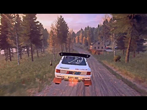 peugeot 205 t16 (group b) in finland - DiRT Rally 2.0