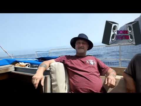 Bozz Beats Hardcore (official Video) (DJ Westfront RMX) (4K)