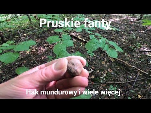 Wykopki wyprawa #168 Pruskie fanty z lasu