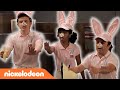 Henry Danger | Top 5 dwaze momenten | Nickelodeon Nederlands