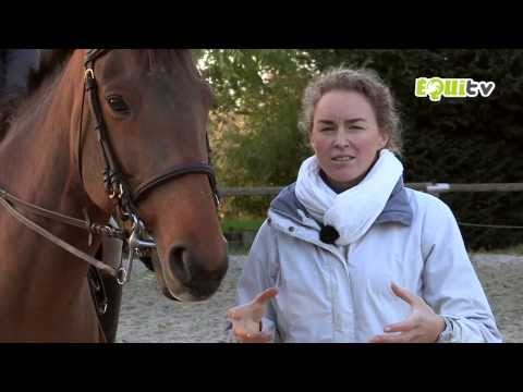 comment monter a cheval quand on a ses regles