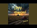Angry Homeland