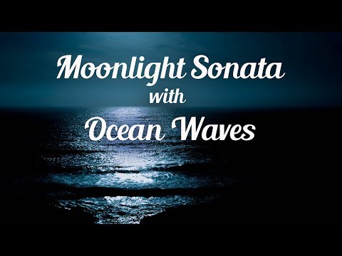 Moonlight Sonata with Ocean Waves and Cold Wind l Sleep Music, Meditation Music