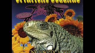 Spiritual Beggars-Mantra III