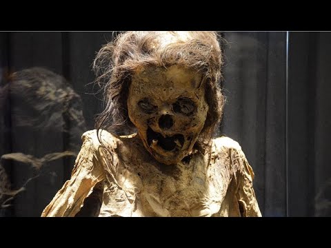 スペインでの考古学的発見:研究者たちは古代の巨大建造物に困惑している