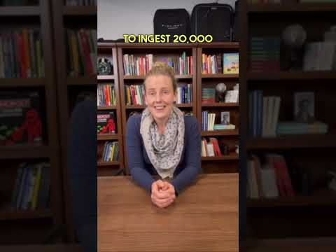 Can You Overdose on Psilocybin?