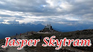 Jasper Skytram Canada's Longest & Highest Guided Aerial Tramway Top Place To Visit In Jasper Alberta