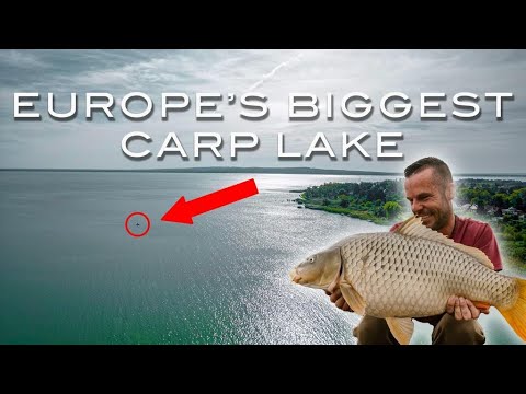 The Most Important Carp of My Life | Lee Mozza Morris | Carp Fishing Lake Balaton